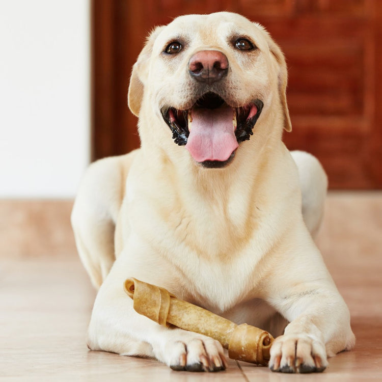Juguetes masticables (mordederas) - Bondogmx