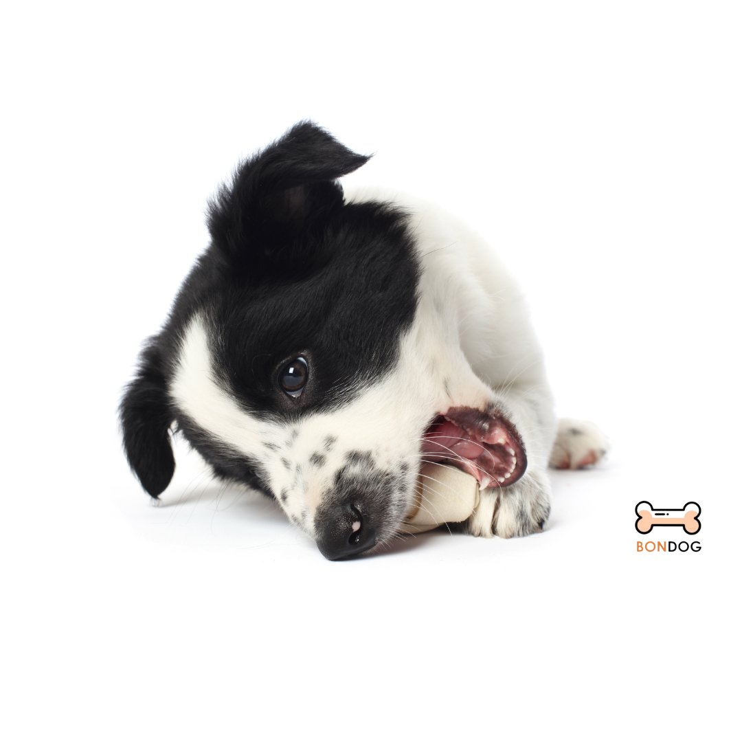 Chips cubiertas de carne ahumada (160 gramos) para perros medianos grandes - Bondogmx
