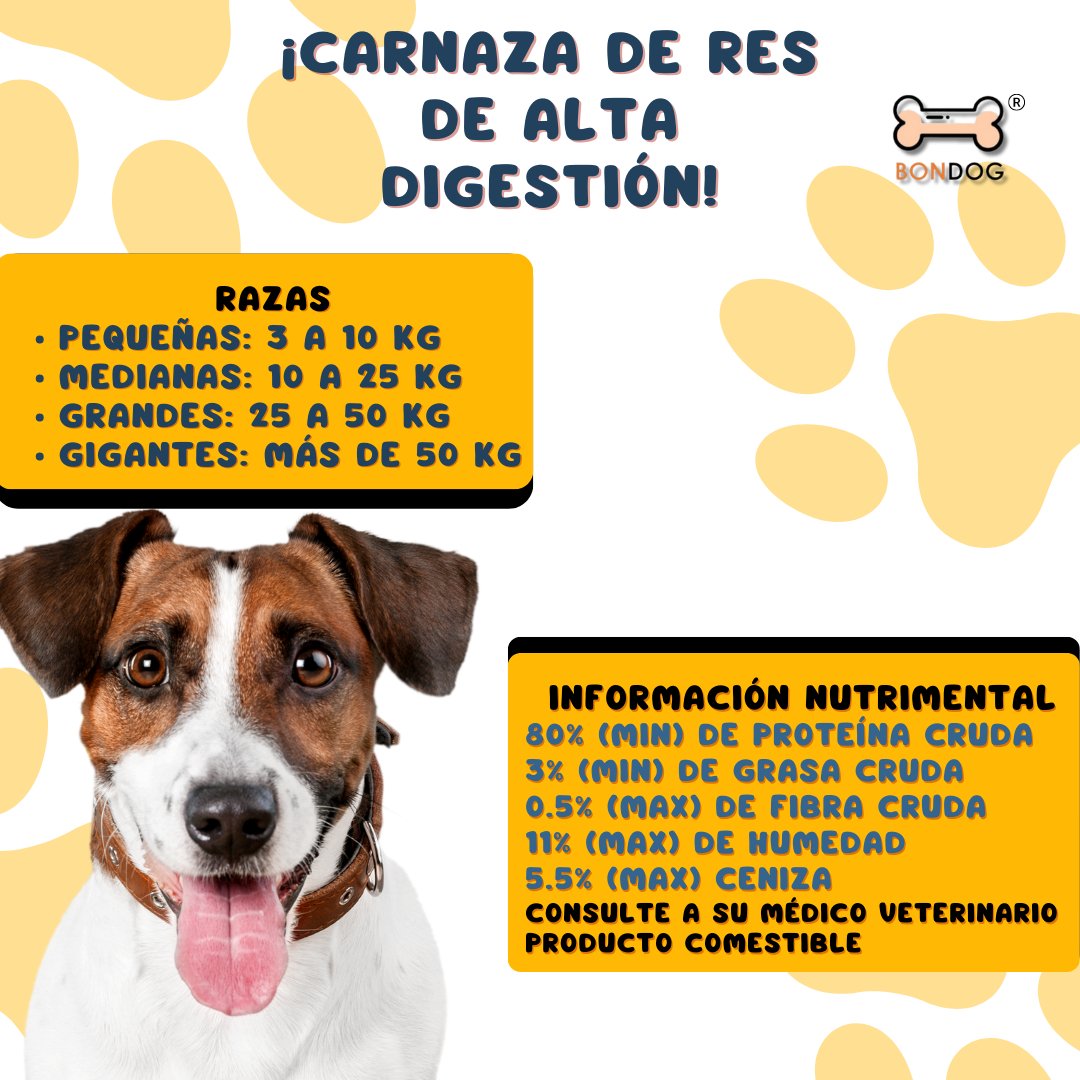 Frasco con 34 huesos 3 - 4" (7 - 10 cm) para razas medianas - Bondogmx