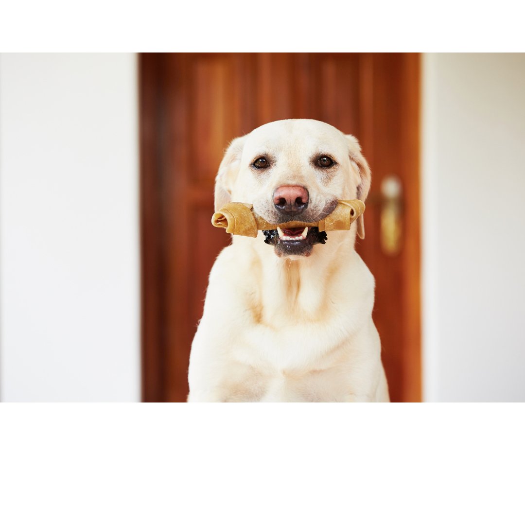 Hueso para perros grandes (24 cm - 3 piezas) - Bondogmx