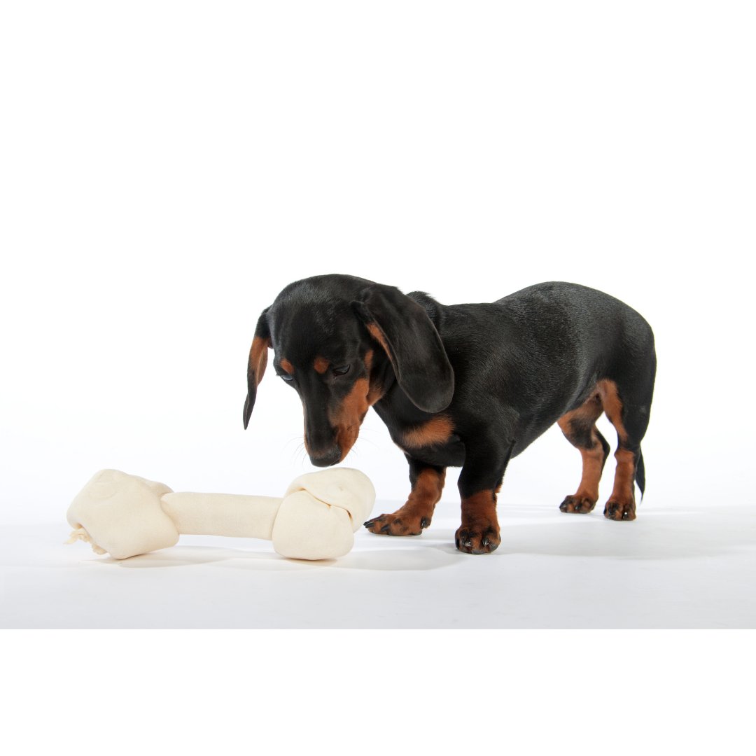 Hueso para razas gigantes (40 cm - 1 pieza) - Bondogmx
