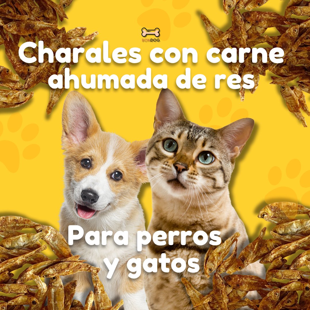 Premios Naturales Charales con carne ahumada de res (100g) - Bondogmx