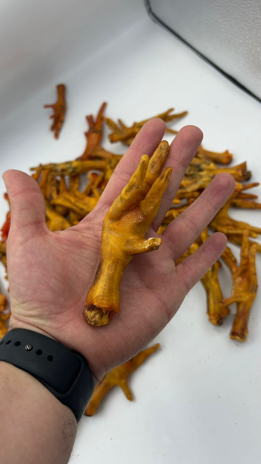 Pata de pollo deshidratada 1000 gramos